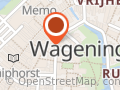 Kwetsbare Kracht