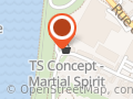 TS Concept - Martial Spirit