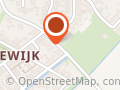 De bloeiende organisatie