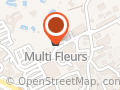 Multi Fleurs