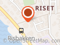 Torun Auestad Rønningen