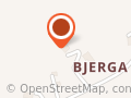 Inger Johanne Bjerga