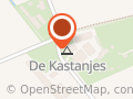 De Kastanjes