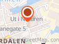 Malerglede Anne K. Thorsen