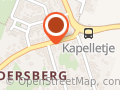 Boom Kap en Snoei Service van De Wetering