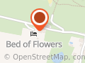 Bed of Flowers