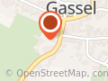 Tussen de Paarden