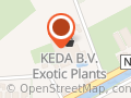 Keda bv | ‘Exotisch’ plantencentrum ospel
