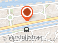 Havenfamkes