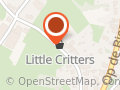 Little Critters
