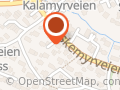 Karin Marie Alkema Syre - Karin Marie Syre
