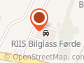 Riis Bilglass
