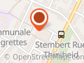 Le p'tit Lion de Stembert