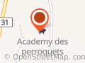 Academy des perroquets a pied