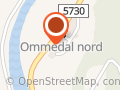 Ommedal Arnfinn