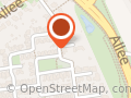 Bing Consultancy en Advies