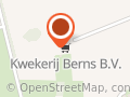 Aspergekwekerij Berns