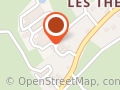Des Puzes