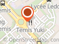 Temis yuki