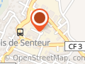 Merlo Service Auto
