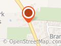 Bany - Stenen Beelden / Tuinbeelden/Workshop Beeldhouwen