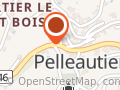 Petit Rémi