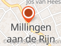 Bloemen uit millingen Monique Arnts