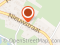 Palmenverkoop.NL