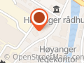 HØYANGER OPTIKK AS SYNSAM