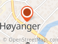 Høyanger apotek AS