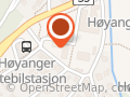 Høyanger skule