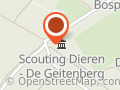 Bevers Scouting Dieren