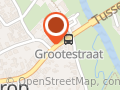 PaardenInzicht en met
