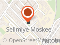 Selimiye Moskee Dieren