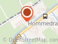 De Hofdame
