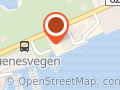 AS Fiskevegn