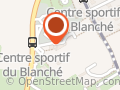 Football Club Grand-Saconnex