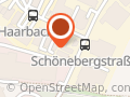 Riese-Springer Manfred Internet Werbeagentur