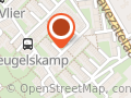 Rojak glasvezeltechniek
