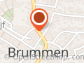 SmartAssistent Brummen