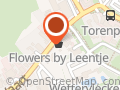 Flowers by Leentje