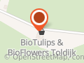 Biotulips & Bioflowers