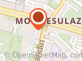 Cats And Dogs SA