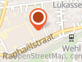 Feestkoning