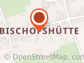 Baumfarne, Pflanzenhandel