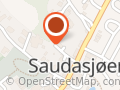 Olaug Saua