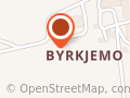 Anne Lise Birkemo Bilstad