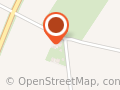 Elderberry's Deutsche Doggen