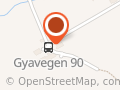 Tor Olav Gya