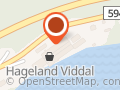 Viddals Gartneri Ans